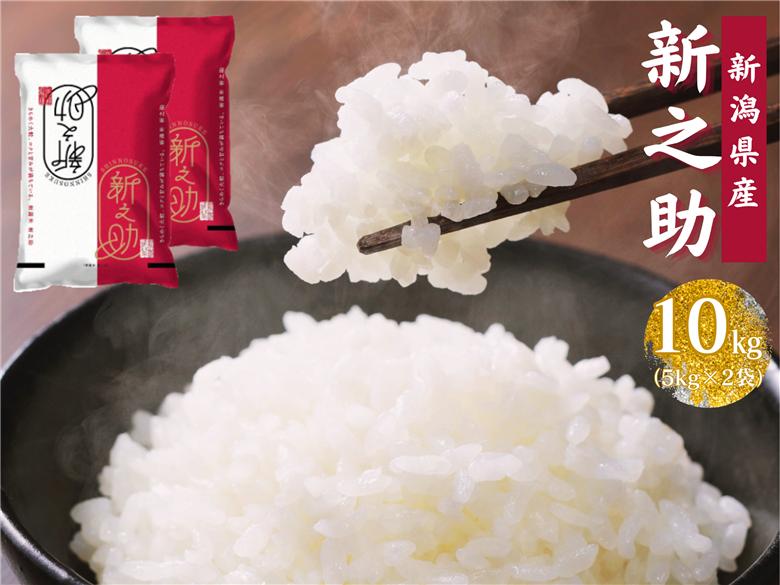 【新之助 10kg（5kg×2袋）】令和8年産 新米 新潟県産新之助 白米 精米 関口商店 1N02023