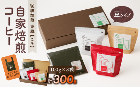 自家焙煎　東風コーヒー豆100g×3点セット