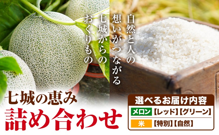 
                  七城の恵み 詰め合わせ 選べる お届け内容 特別栽培米 自然栽培米 ヒノヒカリ 春風レッド 肥後グリーン メロン 株式会社七城の恵み《5月上旬頃から出荷開始》熊本県 菊池市 米 メロン ひのひかり つるたファーム
                