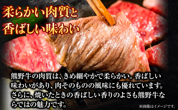 牛肉 熊野牛 ステーキ バラエティセット 計1100g (ヒレ 150g×2枚、リブロース 200g×2枚、モモ 200g×2枚) 株式会社Meat Factory《30日以内に出荷予定(土日祝除く)