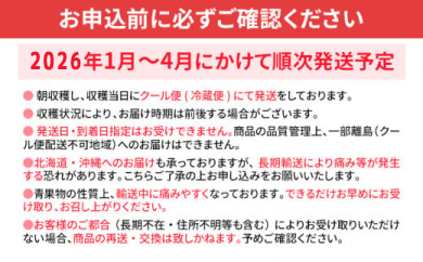 あまおう大福 手作りキット （1セット） 大福 和菓子 キット セット 【2026年1月～4月にかけて順次出荷予定】餡子 あん お菓子 手作り 苺 いちご 福岡県 大木町 池上農園 BD14