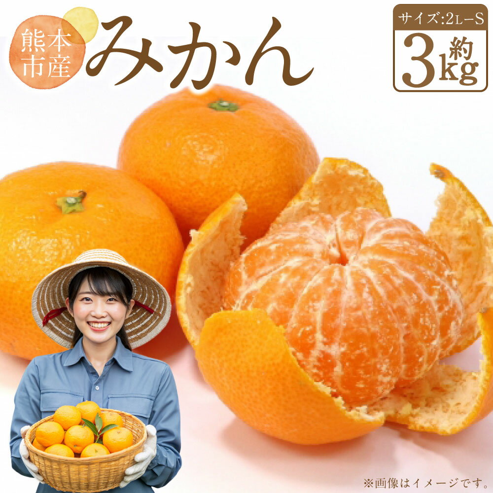 【ふるさと納税】 熊本県産 みかん 約3kg サイズ2L～S 蜜柑 柑橘 果実 果物 くだもの フルーツ おやつ 熊本市 国産 常温 送料無料 冷蔵【2026年10月下旬～2027年2月上旬迄発送予定】