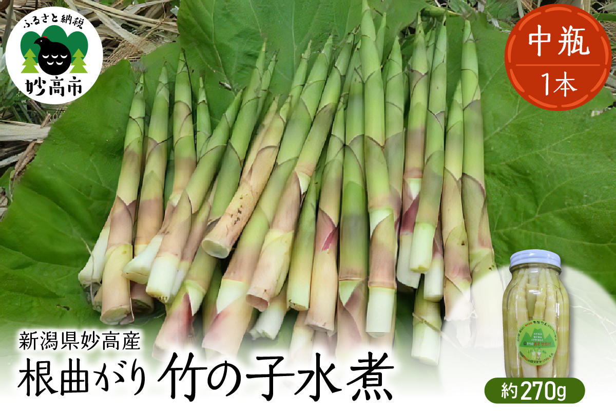 妙高産根曲がり竹の子水煮【中瓶】 270g 瓶詰