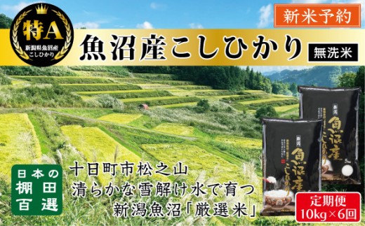 
                  【無洗米】【令和8年産新米予約】【6か月定期便】10月発送開始《食味鑑定士厳選》日本棚田百選・十日町（魚沼）産こしひかり 10kg全6回
                