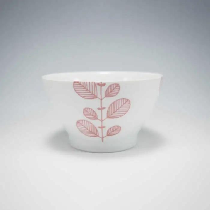 【波佐見焼】ミント 5色絵変わり 茶碗 食器 皿 【永泉】 [MC22]  波佐見焼