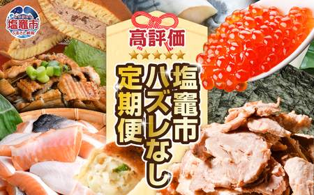 〈１２回定期便〉【塩竈の人気！ハズレなし定期便】 塩竈市 塩釜市 サーモン 鮭 まぐろ 海苔 のり 鯖 サバ 穴子 あなご 餃子 銀鮭 生どら焼き パーティ ホームパーティ xy00005