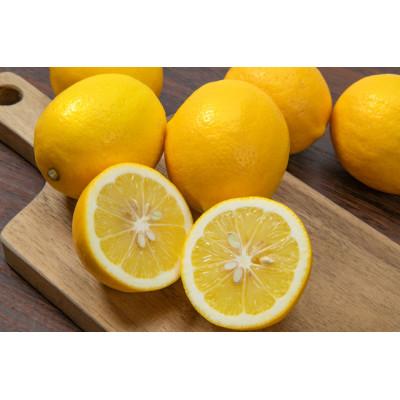 ふるさと納税 八幡浜市 愛媛八幡浜産レモンストレート果汁720ml【H56-63】 |  | 02