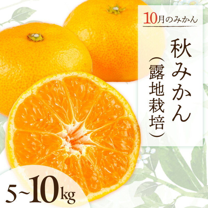 【ふるさと納税】10月の御浜柑橘 秋みかん 5～10kg【御浜町でとれた秋みかんをお届け！】