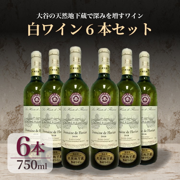 大谷の天然地下蔵で深みを増すワイン　白ワイン 6本セット【白ワイン お酒 ギフト 栃木県 宇都宮市 】 ※配送不可地域：離島