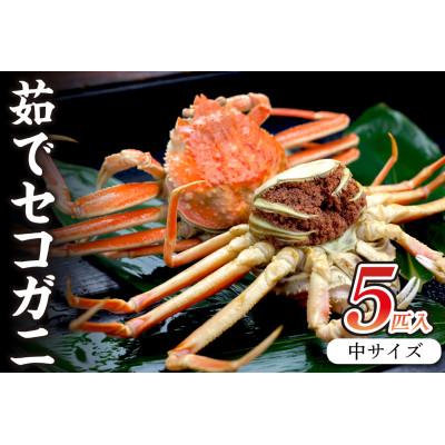 ふるさと納税 京丹後市 美味!驚きの旨さ!茹でセコガニ　厳選 中サイズ5匹入(茹で上がり後1匹175g以上)