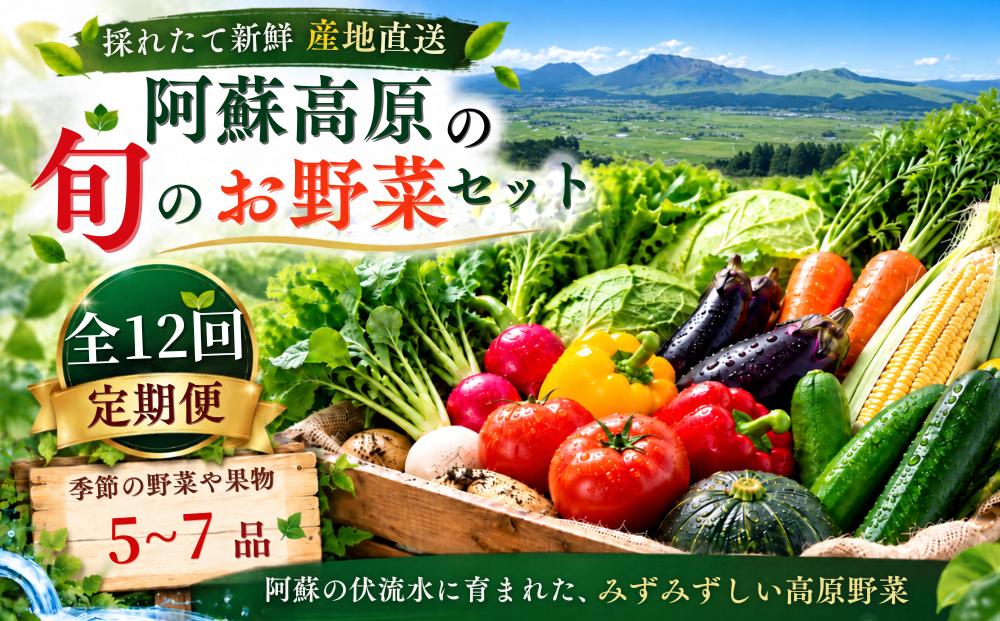 【定期便 全12回】季節の野菜セット 5～7品【 Mサイズ 新鮮 採れたて 旬野菜 毎月お届け 産地直送 熊本 阿蘇 熊本県 阿蘇市】