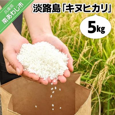 ふるさと納税 南あわじ市 【ヤマモト】淡路島産【キヌヒカリ】5キロ