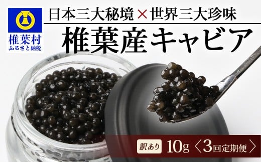 
            【3回定期便】【訳あり】 国産 キャビア HEIKE CAVIAR  10g × 3回 計30g 【世界三大珍味×日本三大秘境】［ 訳あり 宮崎 椎葉 国産 チョウザメ キャビア 定期便 定期 10g 30g 3回定期 魚卵 卵 魚介 珍味 加工品 冷凍 高級 高級食材 贅沢 世界三大珍味 おつまみ グルメ ギフト プレゼント 贈答 希少 人気 おすすめ 送料無料 ］SZ-116_3teiki
          