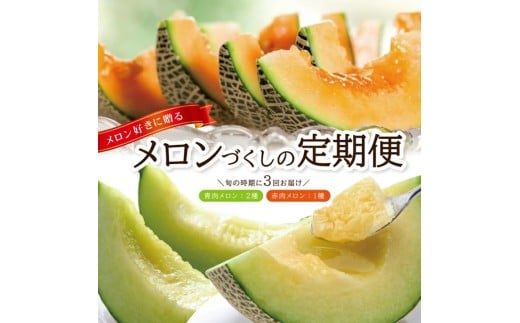 ≪3回定期便≫ メロン好きに贈る メロンづくしの定期便2026(2) 6月下旬～7月上旬 砂丘育ちの甘えんぼう 青肉メロン 2玉 7月中旬～7月下旬 しっかり娘 赤肉メロン 2玉 8月中旬～10月中旬 アールスメロン 2玉 計3回 山形県酒田産 JAそでうら　SE0507
