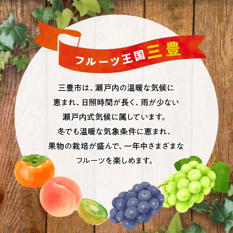 【ふるさと納税】【先行予約】【配送不可地域：北海道・沖縄県・離島】シャインマスカット大粒 2房【800ｇ以上】【糖度17度以上】皮 旬 時期 糖度 香川 種なし シャインマスカット 大粒 贈答用 ギフ
