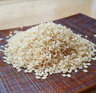 【能登半島地震復興支援】米 玄米 20kg /七尾産コシヒカリ　玄米20kg（10Kg×2袋） ※2025年10月下旬頃より順次発送予定