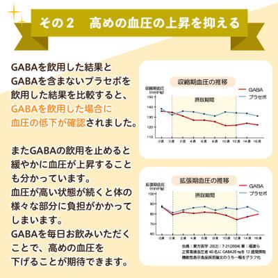 ふるさと納税 日置市 【てまひま堂】GABA100(1袋62粒入り×2袋)鹿児島　日置市　1日2粒目安 |  | 03
