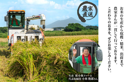 精米 5kg 令和7年産 コシヒカリ 茨城県 下妻市産