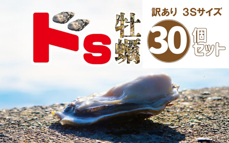 訳あり殻付き生牡蠣 3Sサイズ×30個 生食可 牡蠣