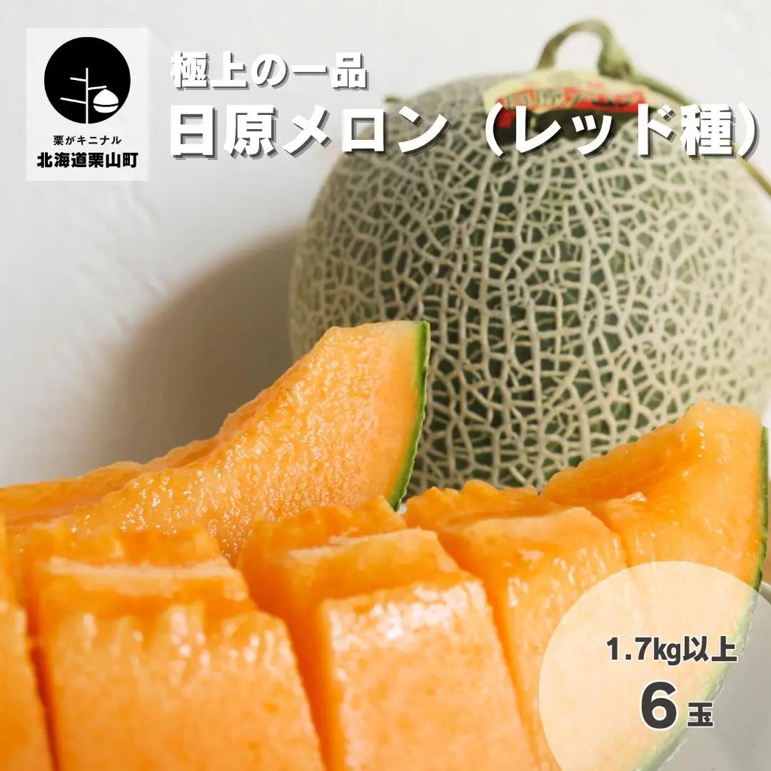 極上の一品「日原メロン（レッド種）」（1.7kg相当×6玉）