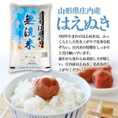 ふるさと納税 酒田市 三ツ星マイスターがお届け!!米どころ庄内米　はえぬき無洗米5kg【令和7年産】精米