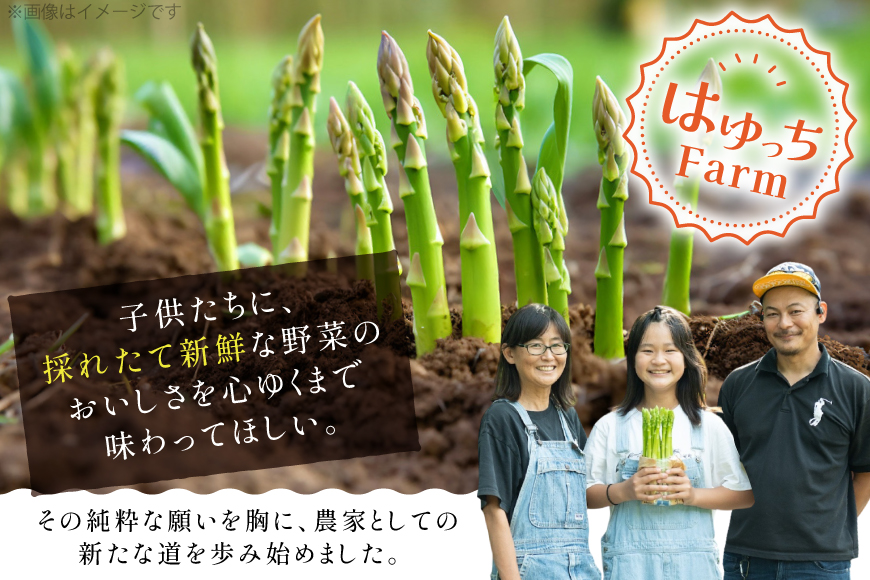アスパラ アスパラガス 夏芽アスパラガス 4.5kg Lサイズ以上 [はゆっちFARM 長崎県 東彼杵町 hs42bag360010] アスパラ あすぱら 新鮮 夏