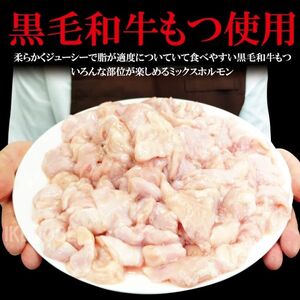 黒毛和牛熟成やわらかミックスたれ漬けホルモン焼 直営焼肉店の味1kg[250g×4P] 牛肉 黒毛和牛 和牛 ホルモン ミックス 熟成 たれ漬け タレ 味付け肉 焼肉 小分け 惣菜 おかず 弁当 冷凍
