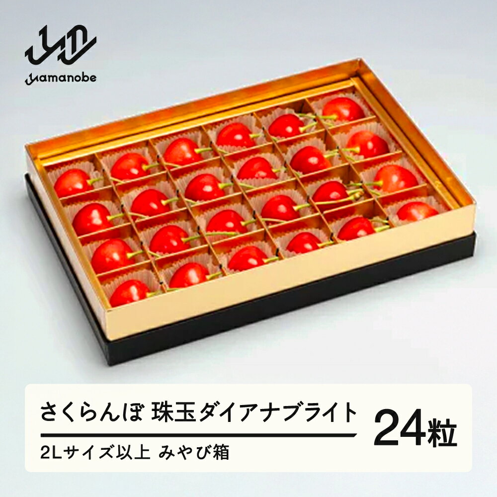 【ふるさと納税】《先行予約》2026年 山形県産 珠玉ダイアナブライト みやび箱詰24粒 やまのべ多田耕太郎のさくらんぼ 送料無料 F20A-043