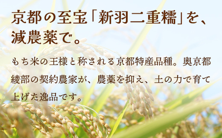 玄米もち 24個（6個入り×4パック） | 玄米餅 おもち