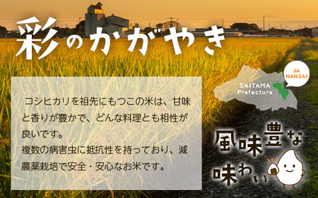 ＜令和7年産＞「彩のきずな・彩のかがやき」10kg 精米