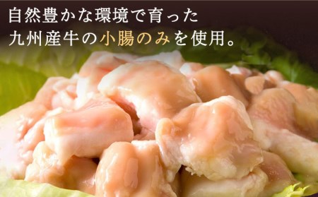 【全3回定期便】【本場博多で歴史のある 博多 浜や】 国産 ・ 無添加 もつ鍋 セット (約2人前) 旨辛みそ味 糸島市 / 博多 浜や[AFF024]