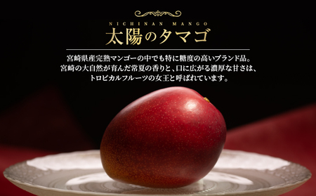 完熟マンゴー 太陽のタマゴ 赤秀品 4L × 2玉 期間限定 数量限定 マンゴー 宮崎 フルーツ 果物 くだもの 国産 食品 先行予約 2026 令和8年発送 濃厚 デザート おやつ おすすめ 冷蔵 