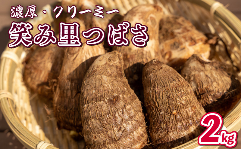 
            里芋 2kg 笑み里つばさ さといも 煮物 産地直送 国産 農家直送 期間限定 数量限定 人気 限定 先行 予約 受付 事前予約 野菜 根菜 高橋農園  新潟県 新発田市 takahashi003
          