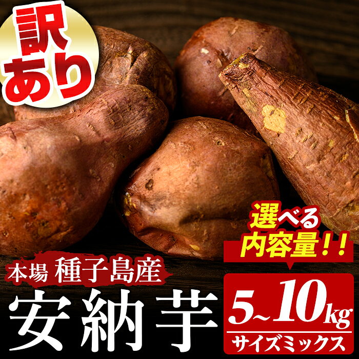 【ふるさと納税】＜先行予約受付中！2026年10月中旬頃より順次発送予定＞≪訳あり≫内容量が選べる！種子島産 安納芋(5～10kg・サイズミックス) 国産 安納芋 さつま芋 蜜芋 本場 種子島 芋 安納いも 野菜 常温 B級品 【種子島安納株式会社】※北海道・沖縄配送不可※