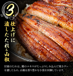 鰻 国産鰻蒲焼 2パック 約 120g ×2 有限会社安井家