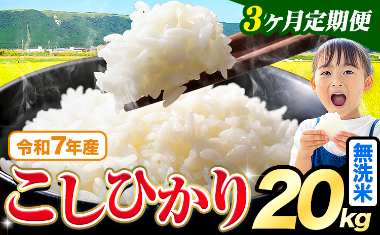 【3ヶ月定期便】令和7年産 米 無洗米 こしひかり 20kg《お申込み翌月から出荷》熊本県産 ふるさと納税 無洗米 ひの 米 こめ ふるさとのうぜい コシヒカリ コメ お米 おこめ---reihoku_loc_448_mo3---