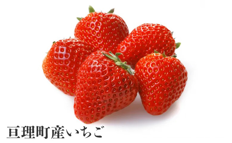 【亘理町いちご産】夢見る乙女1本