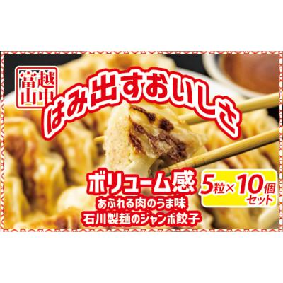 ふるさと納税 魚津市 石川製麺のジャンボ餃子5粒入りタレ付10個セット