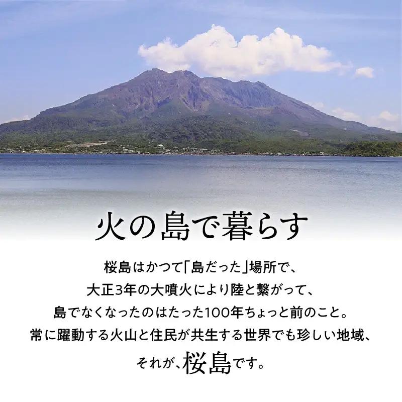 桜島つばきリップクリーム 2本セット K062-019