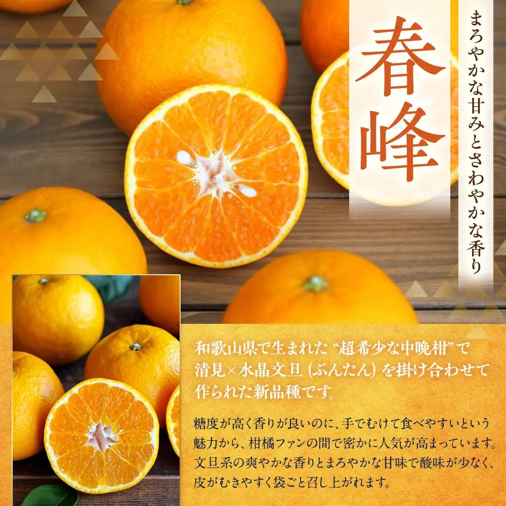 訳あり 春峰 1kg M～2Lサイズおまかせ 高石垣ファーム