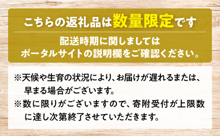 【先行予約】【9月中旬から9月末に順次発送】高丸の梨 「豊水」 3kg（5から8玉入） 豊水 梨 なし フルーツ 果物 ナシ 三次市/高丸農園[APBU001]