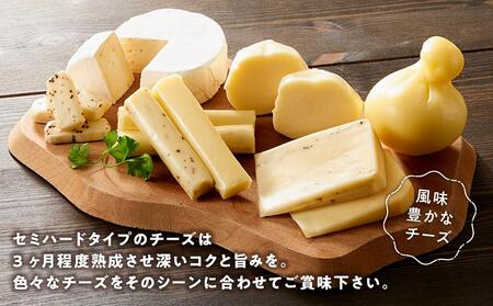 八雲チーズ村　チーズセット【 チーズ チーズセット カマンベール カチョカバロ プチ・ペンケル モッツァレラ 食品 お取り寄せ お取り寄せグルメ 八雲町 北海道 】