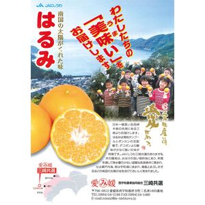 【先行予約】【数量限定】はるみ（生果5kg）※離島への配送不可（2026年1月下旬より順次発送予定） IKTBD009