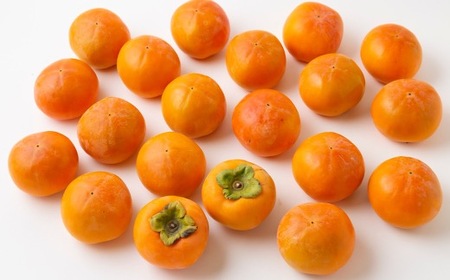 【先行予約】江藤農園 富有柿 16玉から19玉(約5kg) 2025年11月中旬から11月下旬 出荷予定