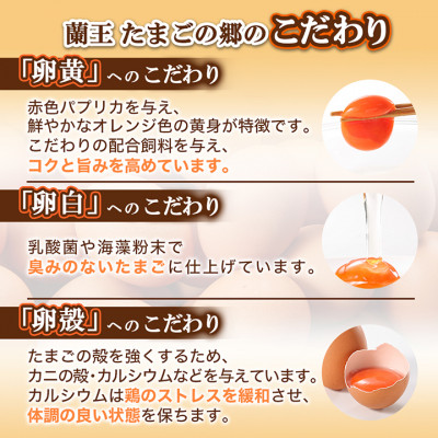蘭王たまご　10個入り2パック　ギフト箱でお届け