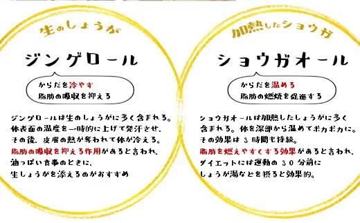 生姜パウダー 国産 25g×4袋　無添加 100％ 乾燥しょうが 粉末タイプ 高知県産