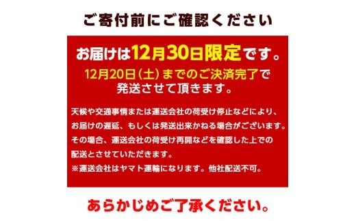 ＜12/30着限定＞神経締めでまるごと1本お届け！美人鰤 (1本・約5kg) 美人ブリ 美人鰤 ぶり ブリ 鰤 神経締め ブランド魚 獲れたて 鮮魚 まるごと 冷蔵 海の直売所 大分県 佐伯市 ＜離島配送不可＞【AS130】【海べ】
