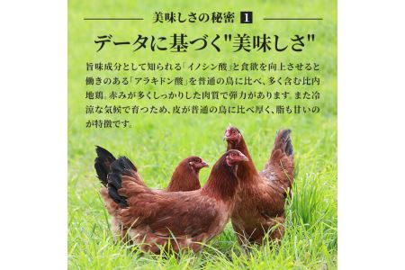 秋田県産比内地鶏肉 焼き鳥の定期便(30本×9ヶ月)(焼鳥 9ヶ月 もも肉 むね肉) 鶏肉焼き鳥 やきとり 