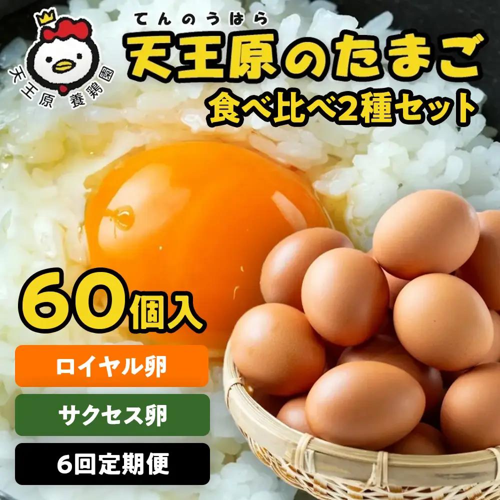 【定期便】６回定期 【天王原のたまご】 サクセス卵30個/ロイヤル卵30個