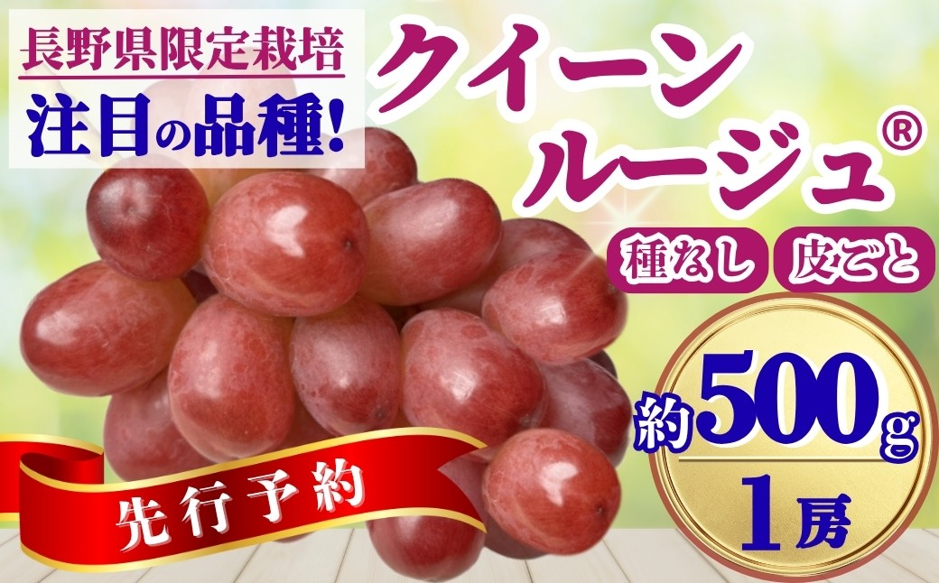 
            【2025年先行予約】ぶどう クイーンルージュ® 約500g(1房)｜ 果物 フルーツ 赤ぶどう 葡萄 ブドウ 種無し 種なし 皮ごと 千曲市 長野県 信州
          